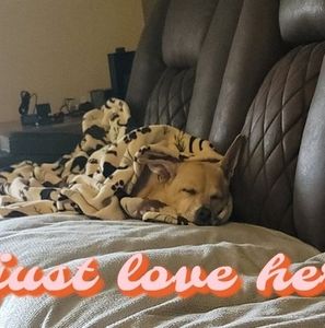 Meet your Posher, Tracey